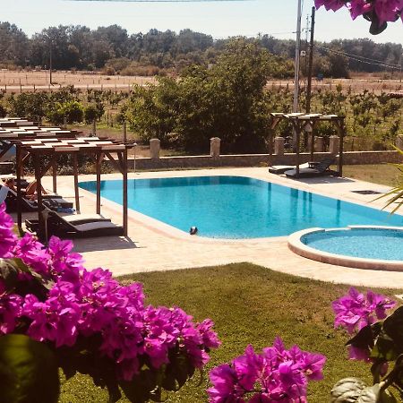 Apartments Ada Bojana Ülgün Dış mekan fotoğraf