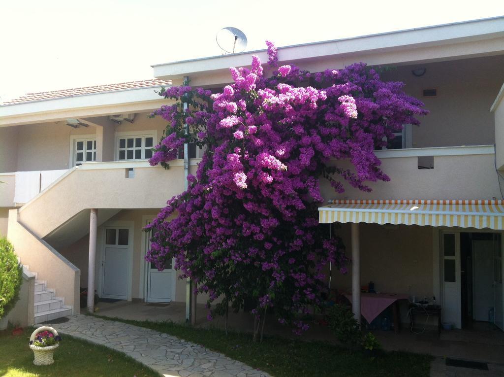 Apartments Ada Bojana Ülgün Oda fotoğraf